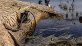 Investigan vertidos de alpechín mediante tuberías ocultas hasta el pantano del Chanza
