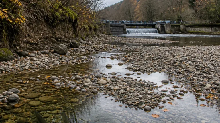 Cantabria autoriza un cupo de salmón para 2027 pese a la demanda de veda total de los ecologistas