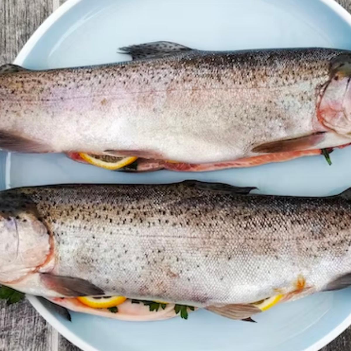 Descubra por qué comer piel de pescado puede ser bueno para la salud.
